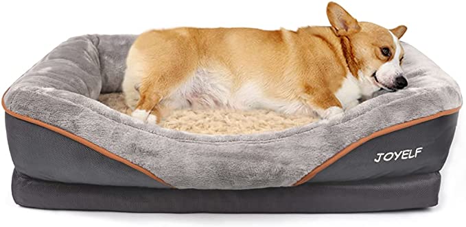 best dog bed for french bulldog