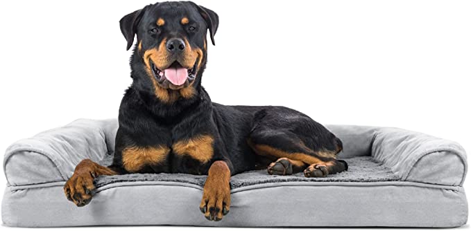 best dog beds for dachshunds