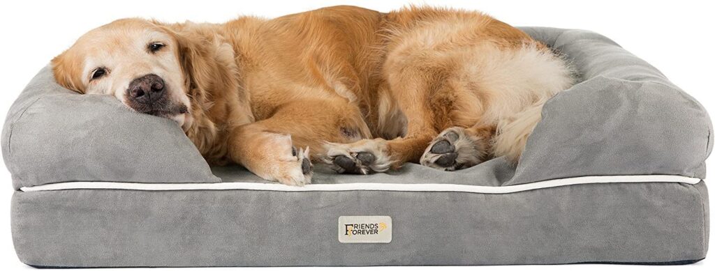 Friends Forever Memory Foam Orthopedic Dog Bed