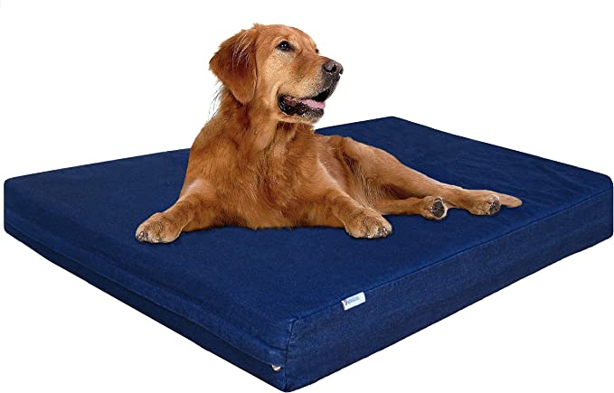 best dog beds for labrador