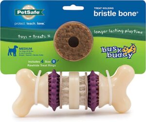 PetSafe Busy Buddy Bristle Bone