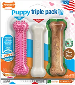 Nylabone Puppy Chew Variety Toy
