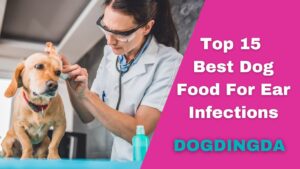 Read more about the article Top 15 Picks for the Best Dog Food For Ear Infections