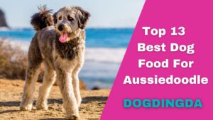 Read more about the article Top 13 Picks For The Best Dog Food for Aussiedoodles