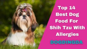 Read more about the article Top 14 Best Dog Food for Shih Tzu With Allergies