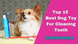 Read more about the article Top 15 Best Dog Toy For Cleaning Teeth
