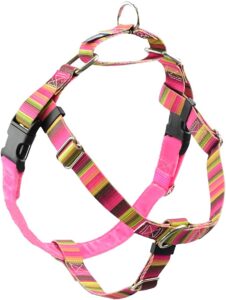 best harness for chihuahua
