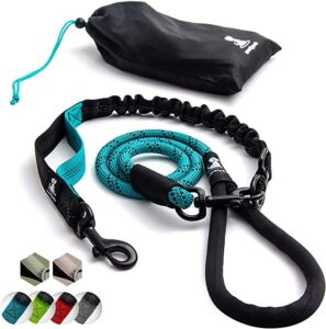 best dog leash for pullers