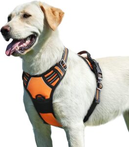 Eagloo Dog Harness for Large Dogs No Pull