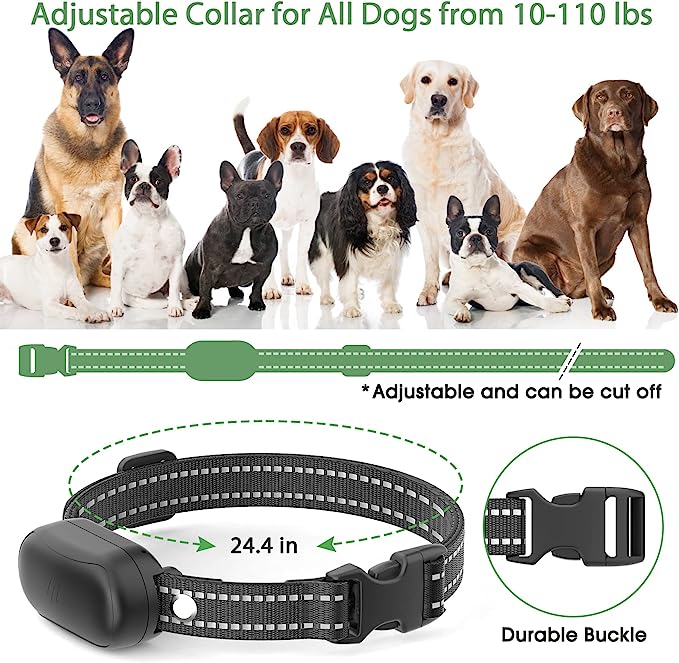 How To Use A Dog Shock Collar For Training