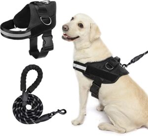 EXPAWLORER Upgraded No Pull Dog Harness with Leash Set