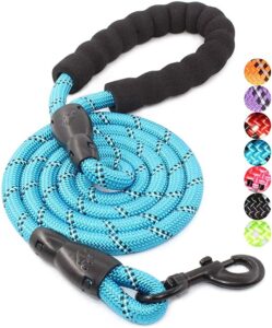 BAAPET 2/4/5/6 FT Dog Leash with Comfortable Padded