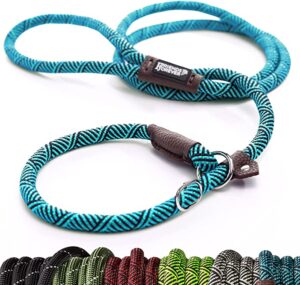 best dog leash for pullers