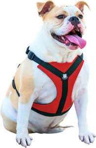 Bulldog Grade Harness for English
