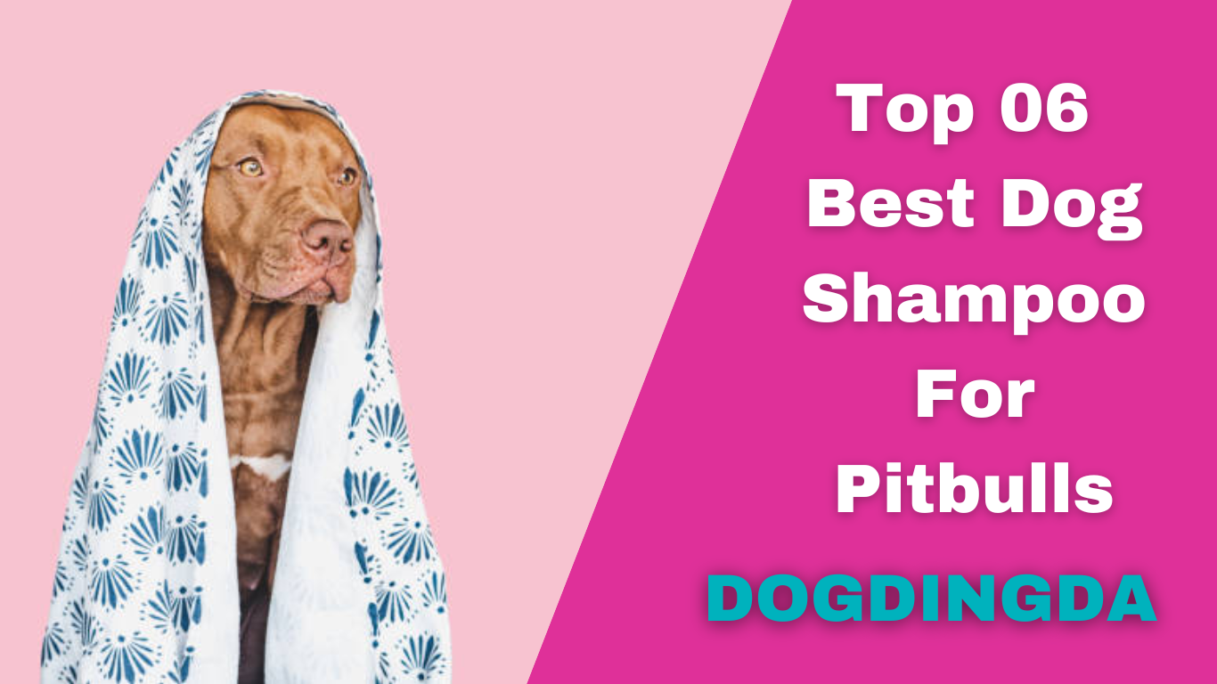 Read more about the article Top 6 Best Dog Shampoo for Pitbulls