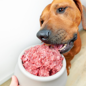 Read more about the article TOP 12 BEST DOG FOOD FOR COLITIS – 2024 Updated