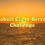 Robust Client-Server Challenge