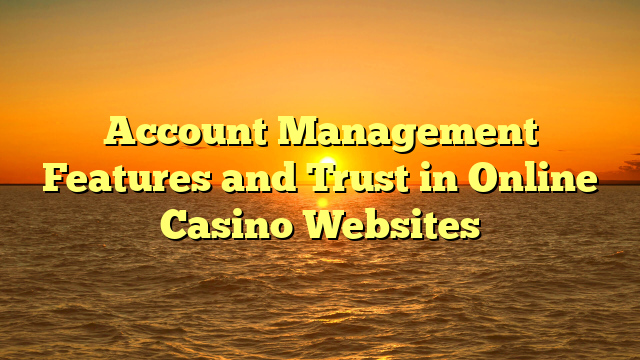 Account Management Features and Trust in Online Casino Websites
